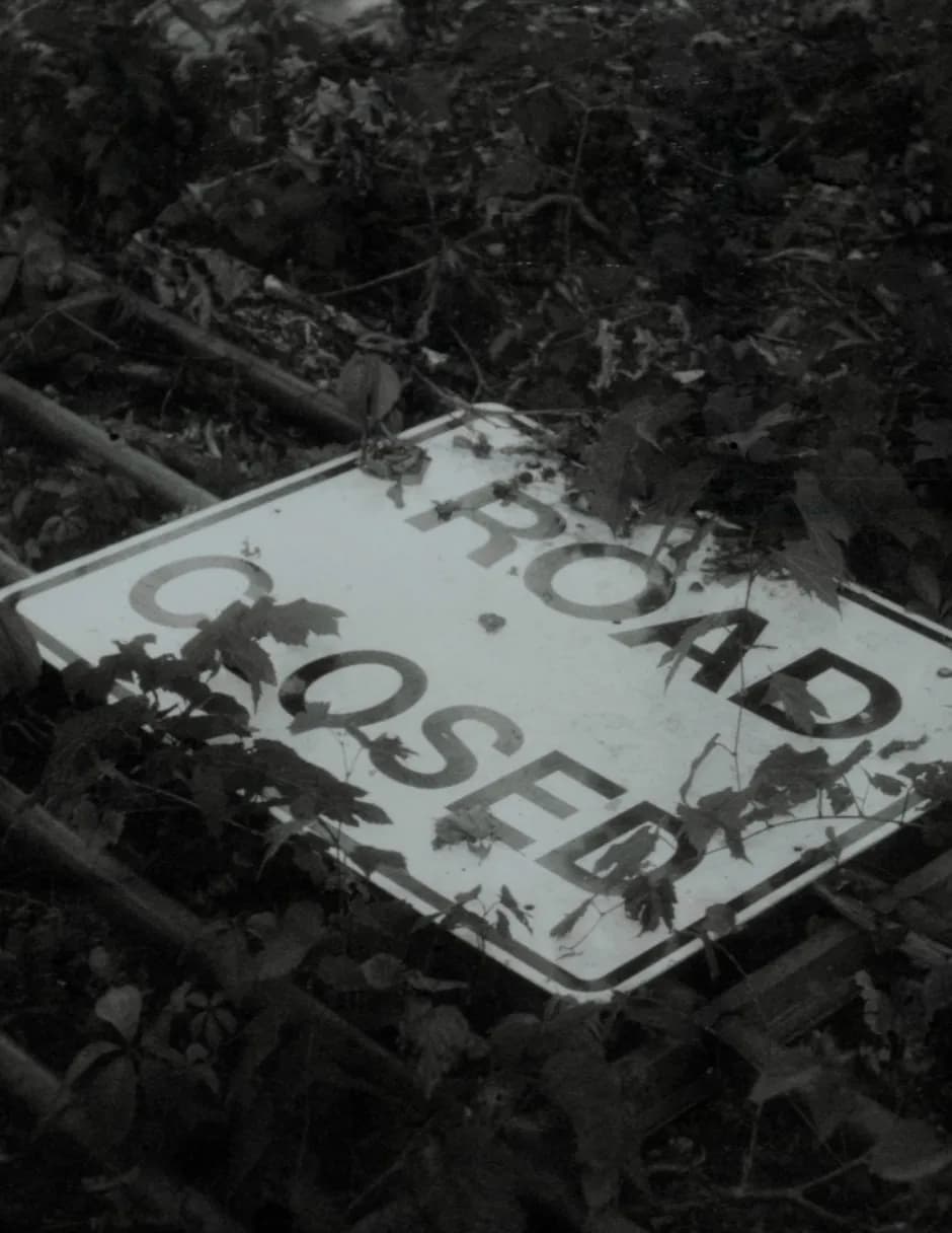 TC98 image