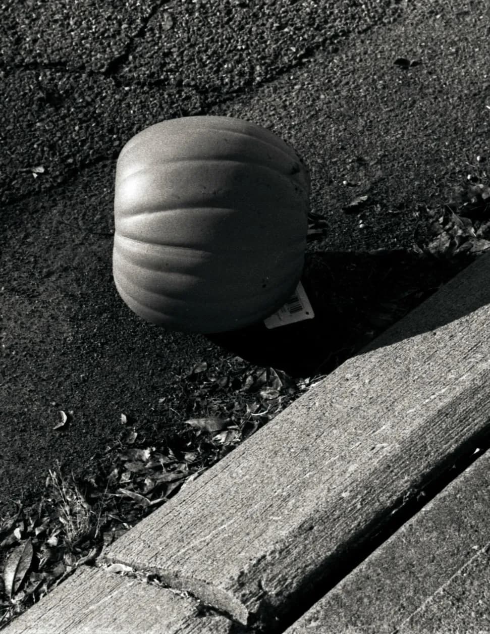 TC98 image