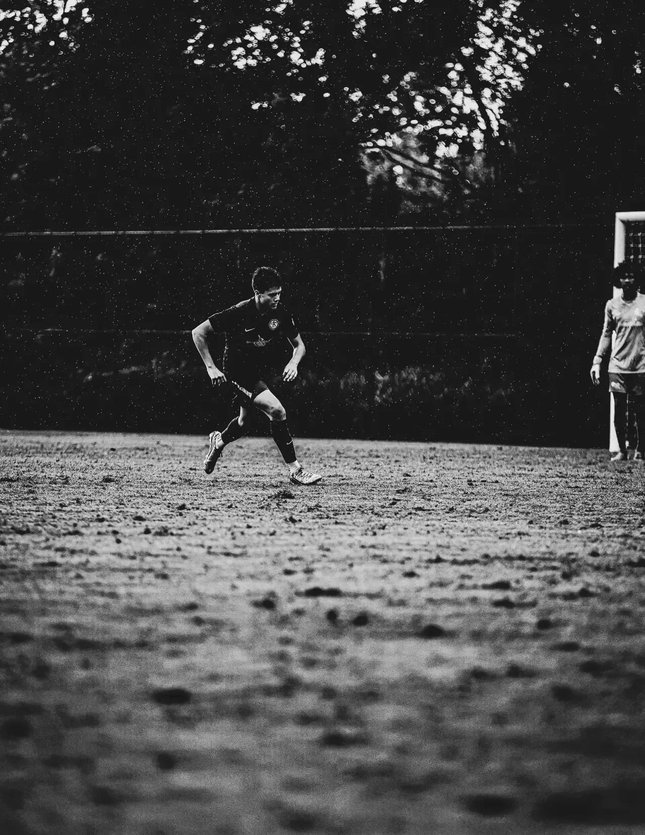 competitor qBL04