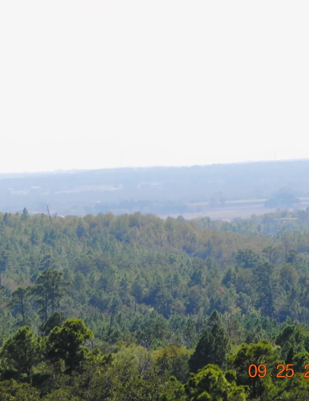 LoreleiCountryman image
