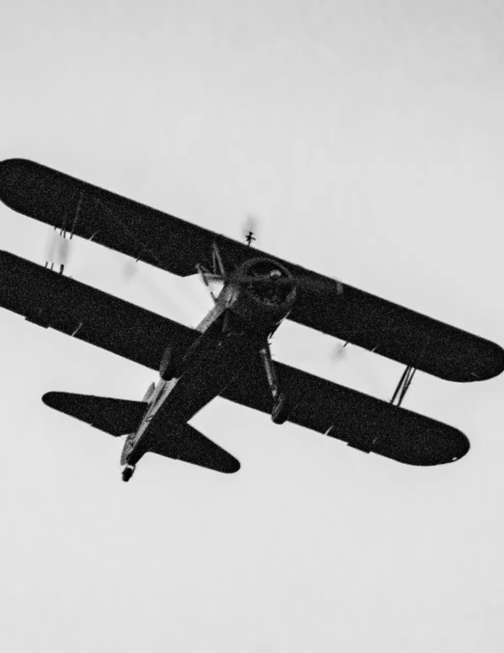 Tommy Brooks  image