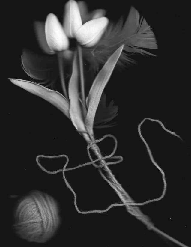 Rachel image