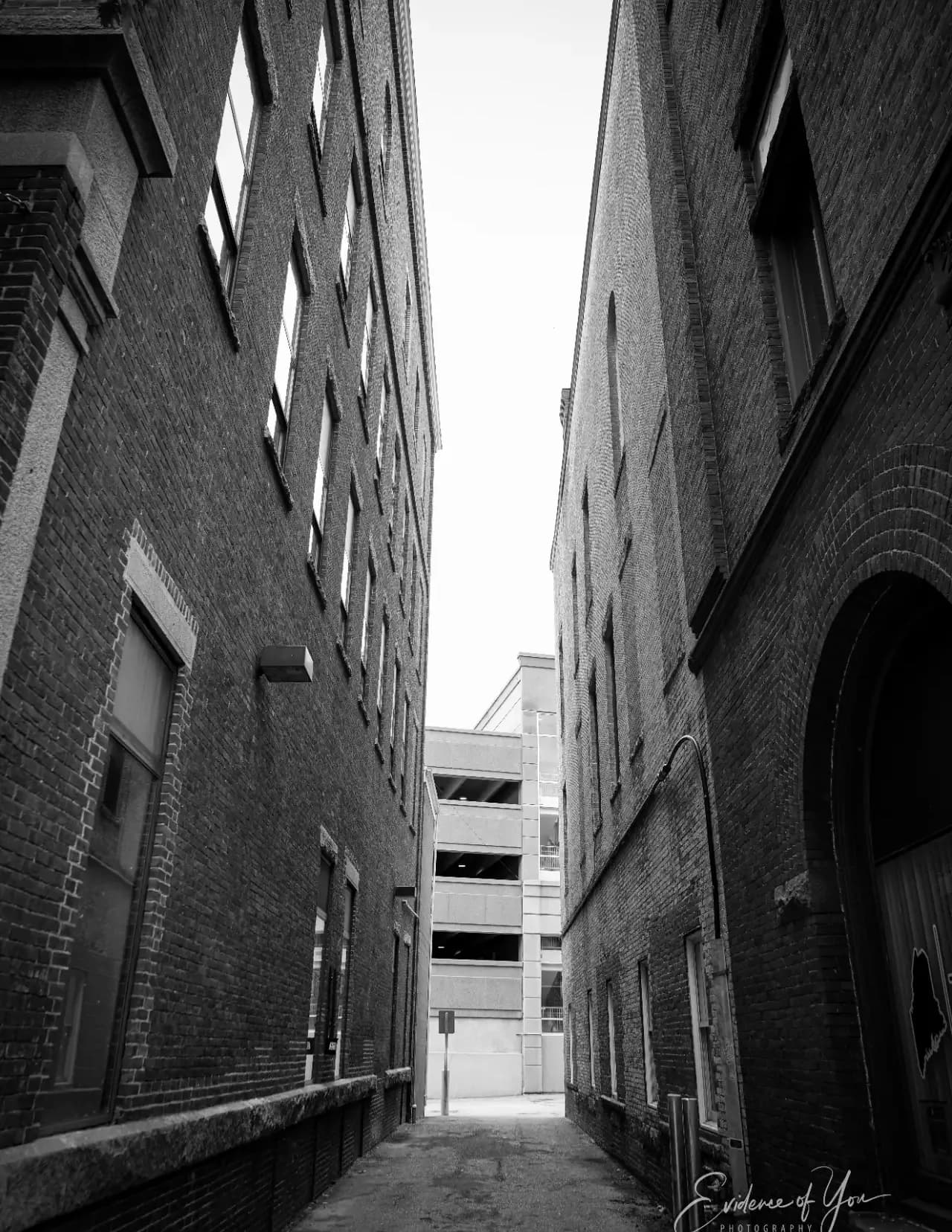 Evidence of You Photography image